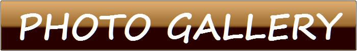 PHOTO GALLERY